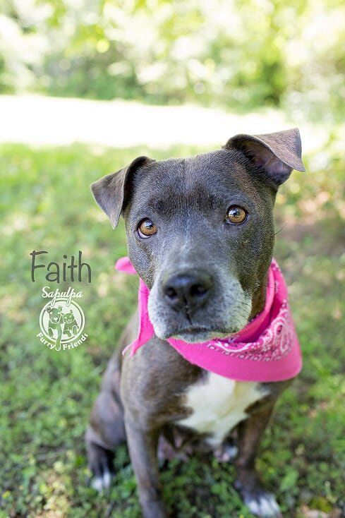 Faith